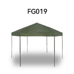 FG019